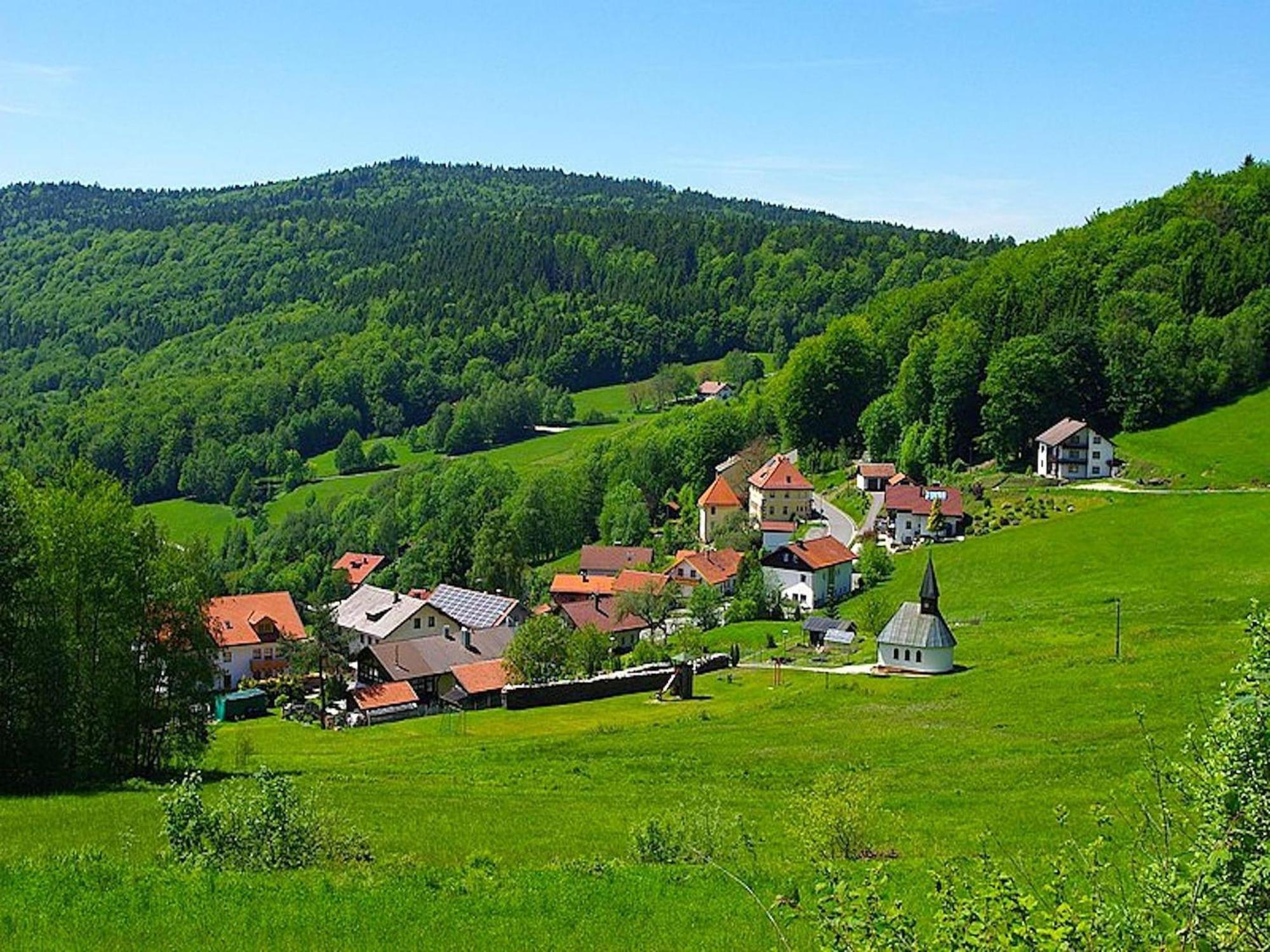 Comfortable Apartment In Zenting In Lower Bavaria Экстерьер фото