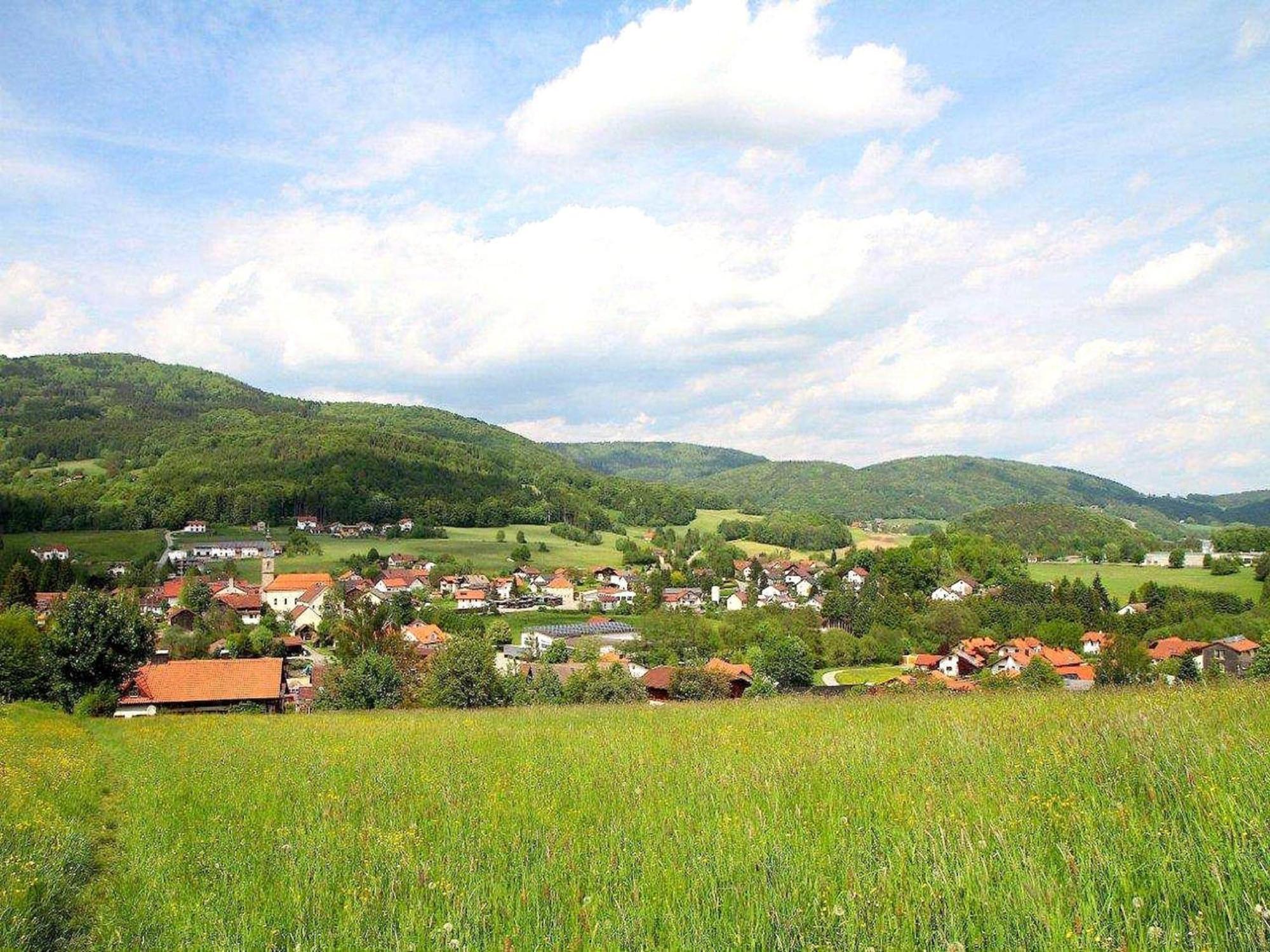 Comfortable Apartment In Zenting In Lower Bavaria Экстерьер фото