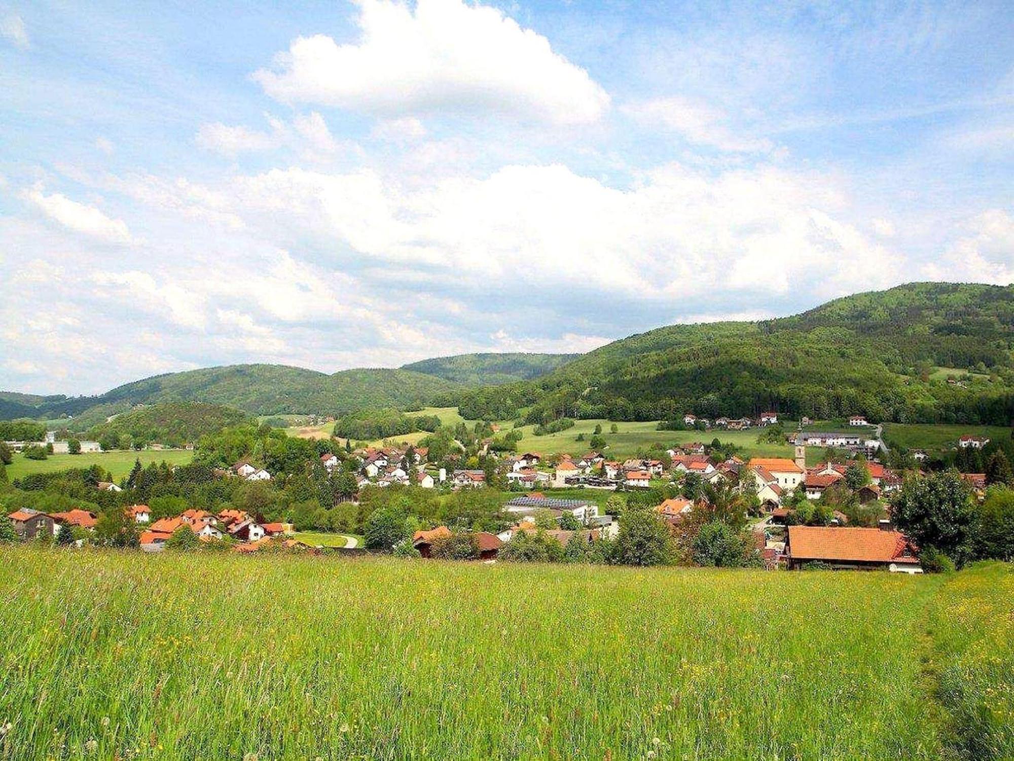 Comfortable Apartment In Zenting In Lower Bavaria Экстерьер фото